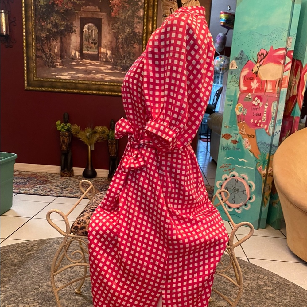 Ann Taylor Red and White Gingham Dress - Picture 3 of 6